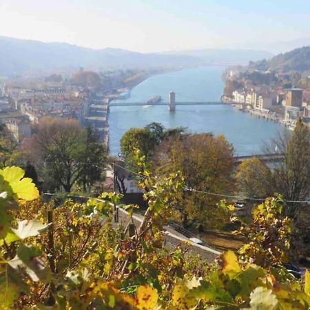Appartement Vignes Vienne Nord Eksteriør bilde