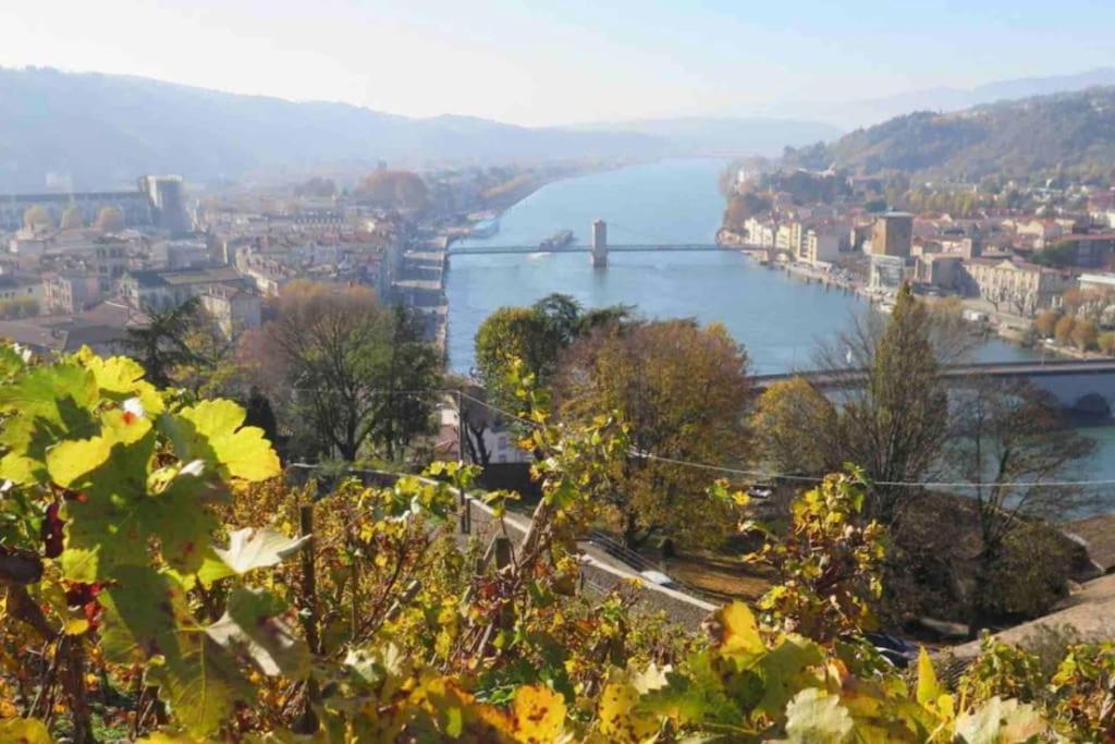 Appartement Vignes Vienne Nord Eksteriør bilde